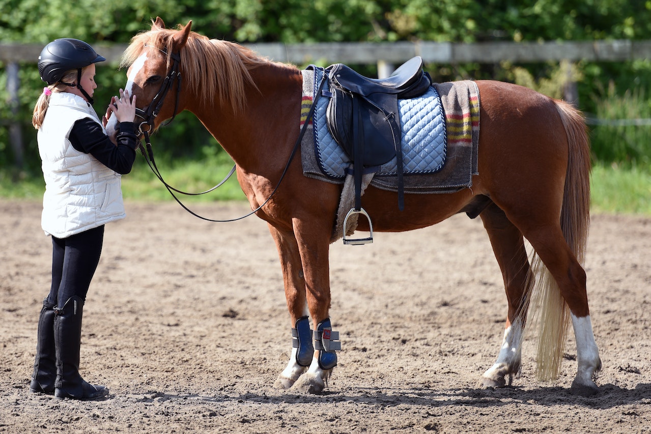 Galloping towards Good Mental Health with the Help of Horses