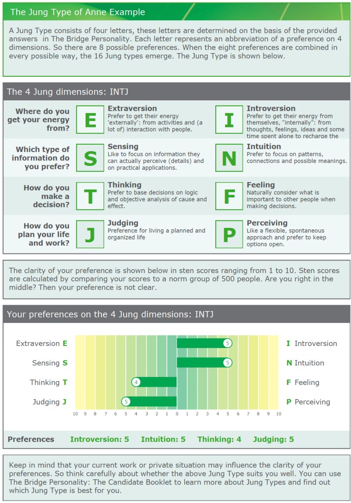 Jung Personality Test by TestGroup