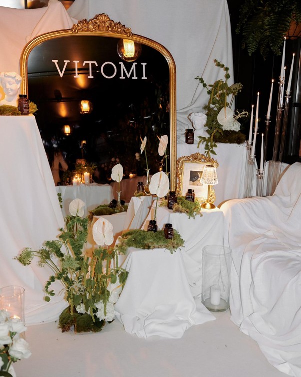 VITOMI Labubu Monsters